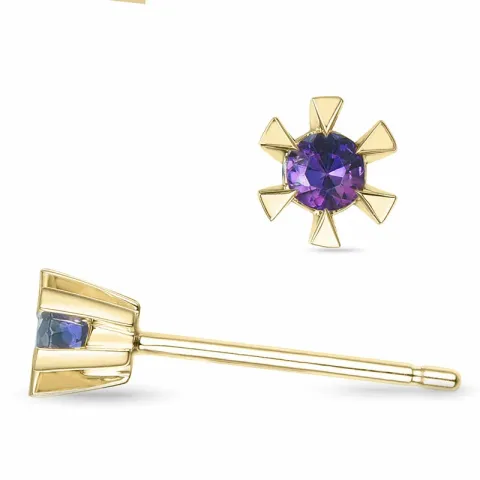 2 x 0,05 ct amethist solitaire oorbel in 14 karaat goud met amethist
