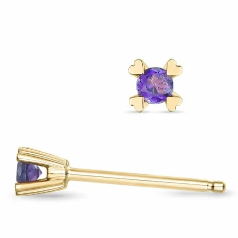 2 x 0,05 ct amethist solitaire oorbel in 14 karaat goud met amethist