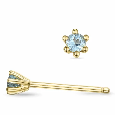 2 x 0,05 ct aquamarijn solitaire oorbel in 14 karaat goud met aquamarijn
