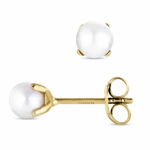 testsieraad oorsteker in 9 karaat goud