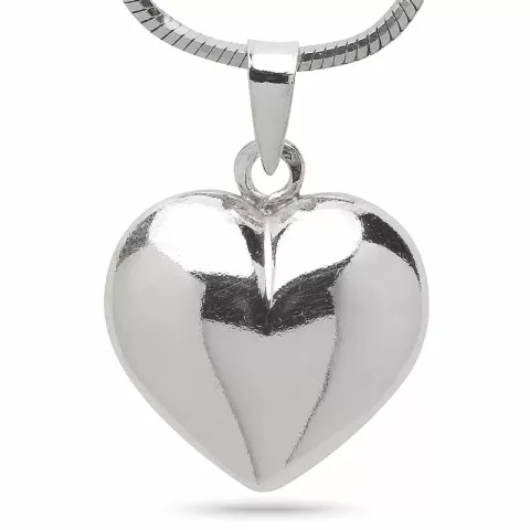 testsieraad medaillon in zilver