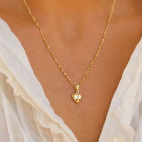 9 x 11 mm hart ketting in verguld sterlingzilver met hanger in 8 karaat goud