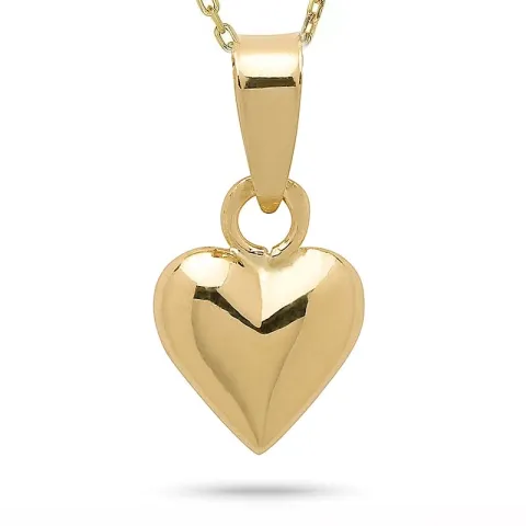 hart ketting in verguld sterlingzilver met hanger in 14 karaat goud