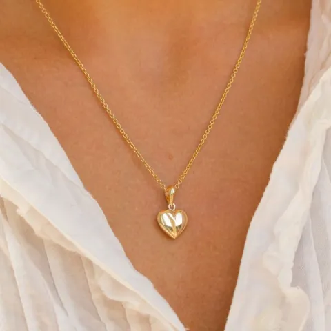 hart ketting in verguld sterlingzilver met hanger in 8 karaat goud