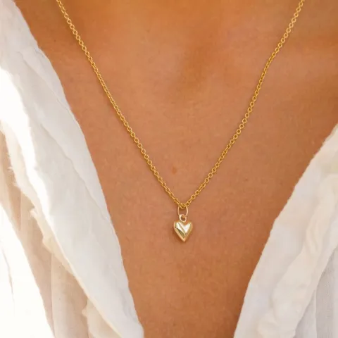 hart ketting in verguld sterlingzilver met hanger in 8 karaat goud