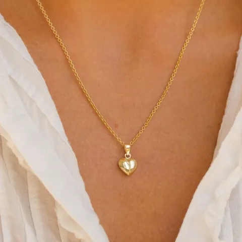 hart ketting in verguld sterlingzilver met hanger in 8 karaat goud