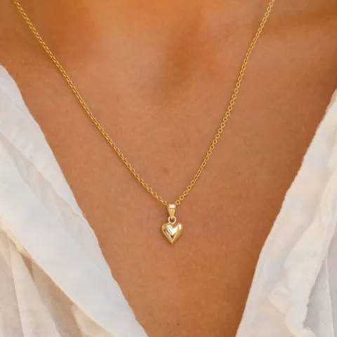 hart ketting in verguld sterlingzilver met hanger in 8 karaat goud