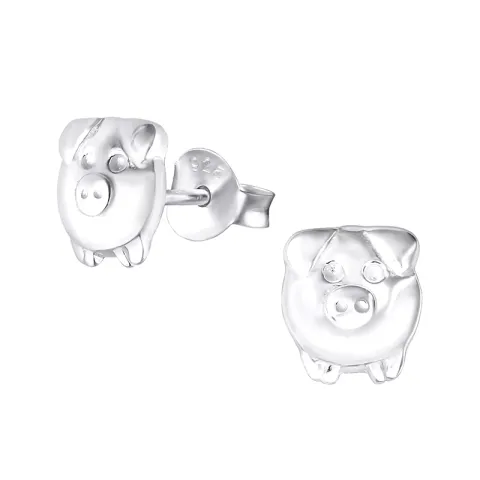 Varken oorbellen in zilver