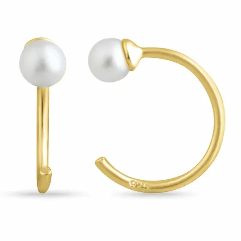 testsieraad oorbellen in verguld sterlingzilver