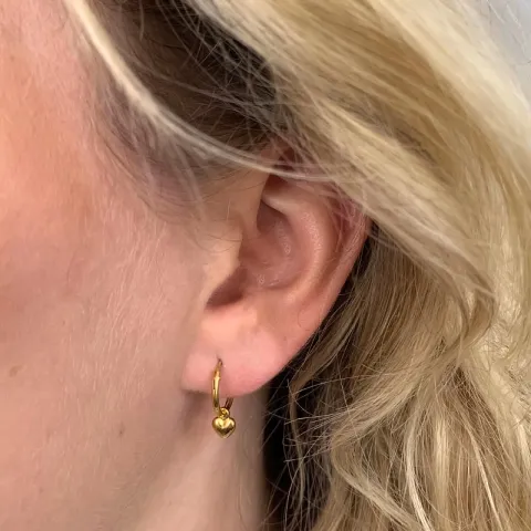 12 mm hart creooloorbellen in verguld zilver