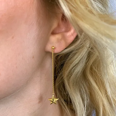 lange ster ketting oorbellen in verguld zilver