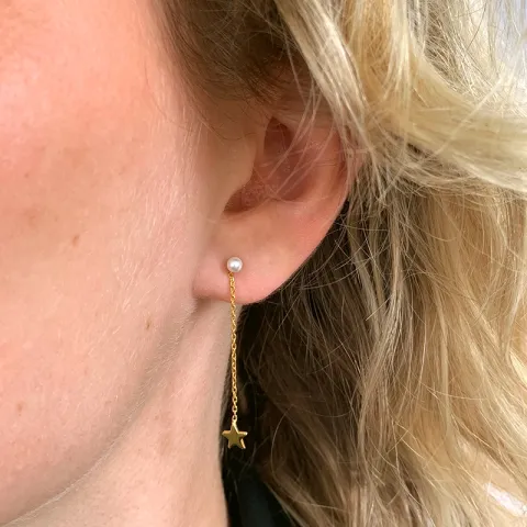 lange ster ketting oorbellen in verguld zilver