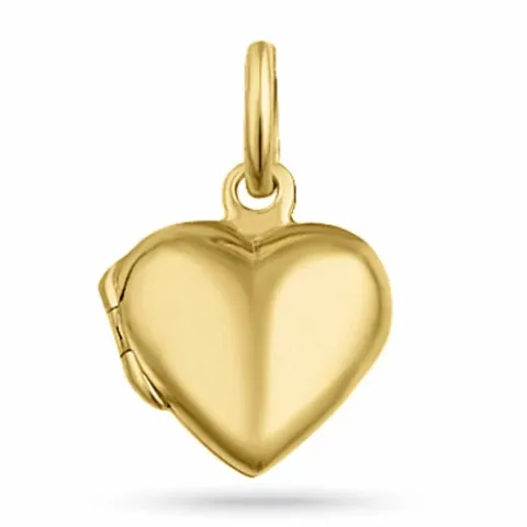 testsieraad hart medaillon in verguld sterlingzilver