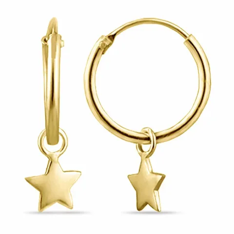 12 mm ster creool in verguld zilver