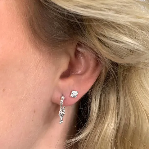 Oorbellen in zilver