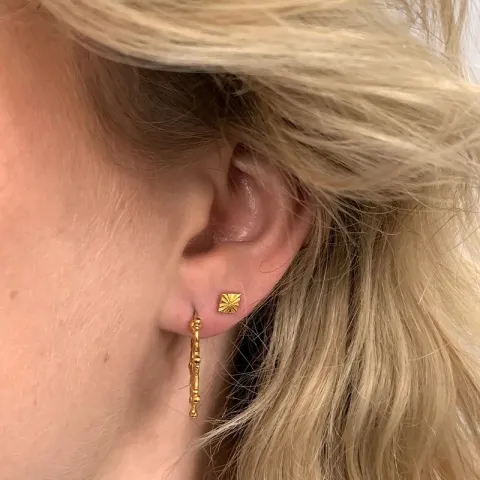Oorbellen in verguld sterlingzilver