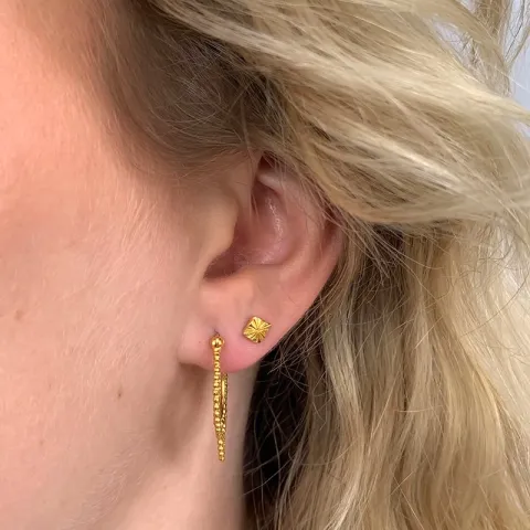 Oorbellen in verguld sterlingzilver