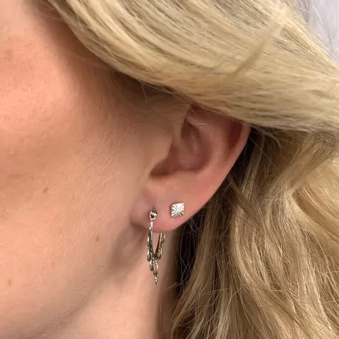 oorbellen in zilver