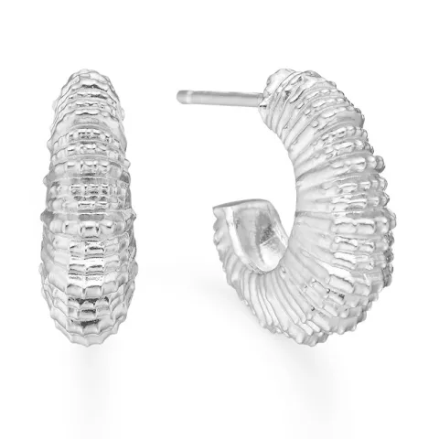 Studio Z Seashell Secrets oorsteker in zilver