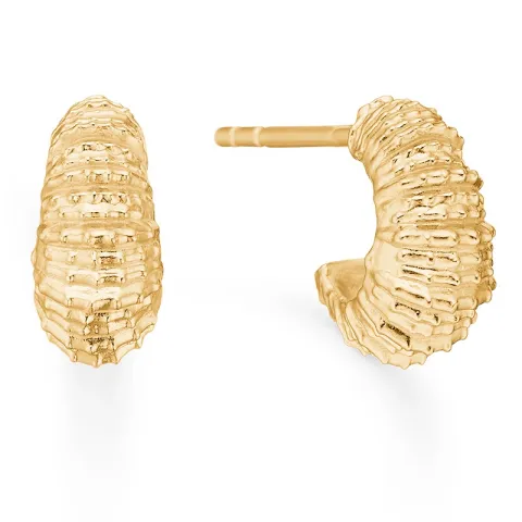 Studio Z Seashell Secrets oorsteker in verguld sterlingzilver