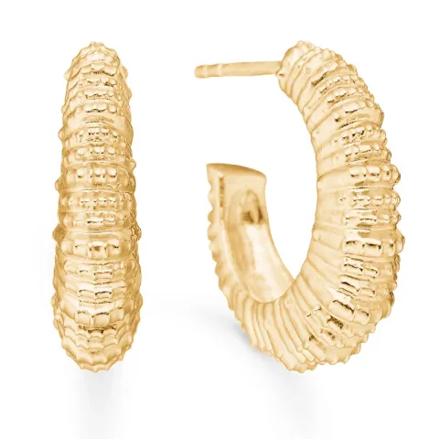 Studio Z Seashell Secrets oorsteker in verguld sterlingzilver