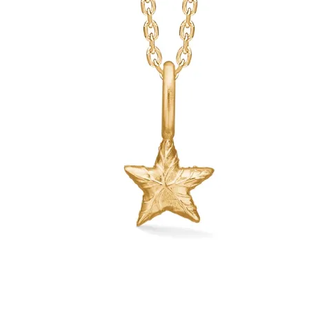 Studio Z Shiny Star ketting in verguld sterlingzilver
