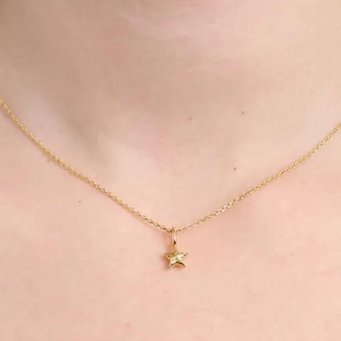 Studio Z Shiny Star ketting in verguld sterlingzilver