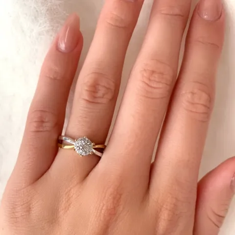 ring in 9 karaat goud met gerodineerd zilver