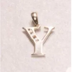 letter Y diamant hanger in 14 caraat witgoud 0,03 ct