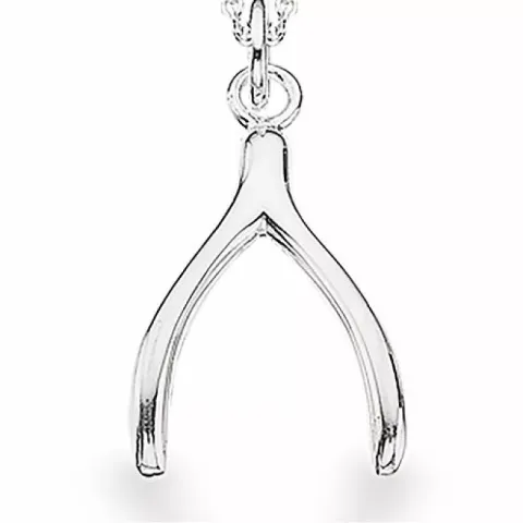 Scrouples wensbotje hanger met ketting in zilver