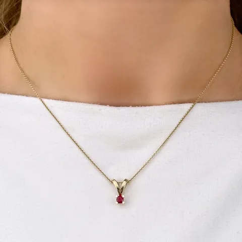 robijn gouden hanger in 14 caraat goud 0,30 ct
