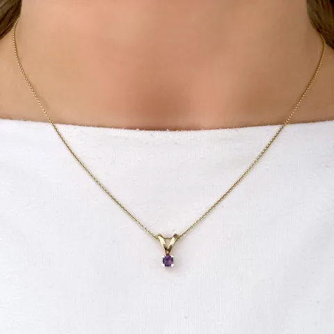 hart paarse amethist hanger in 14 caraat goud 0,22 ct