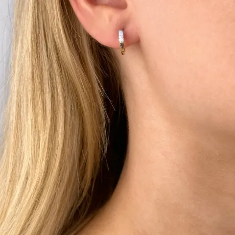 Diamant oorbellen in 14 karaat goud en witgoud met diamanten 