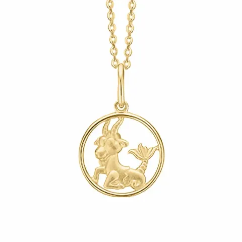 Aagaard sterrenbeeld steenbok hanger met ketting in verguld sterlingzilver