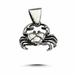 sterrenbeeld kreeft hanger in zilver