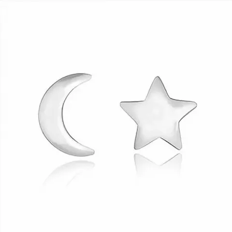 Maan en ster oorsteker in zilver