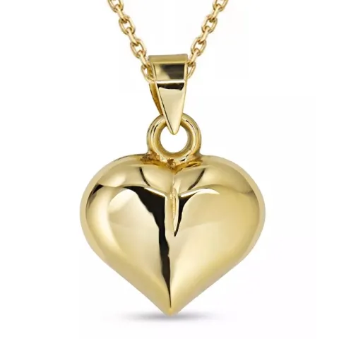 hart ketting in verguld sterlingzilver met hanger in 9 karaat goud - Amoré