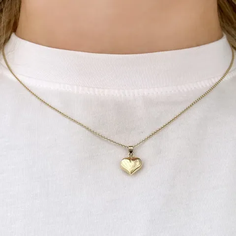 hart ketting in verguld sterlingzilver met hanger in 9 karaat goud - Amoré
