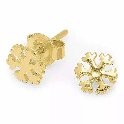 testsieraad sneeuwvlokken oorbellen in verguld sterlingzilver