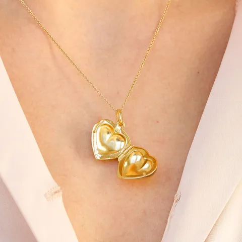 17 mm hart medaillon in verguld sterlingzilver