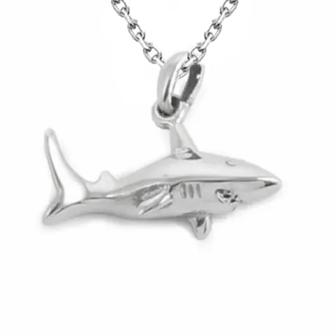 ketting in zilver met hanger in zilver