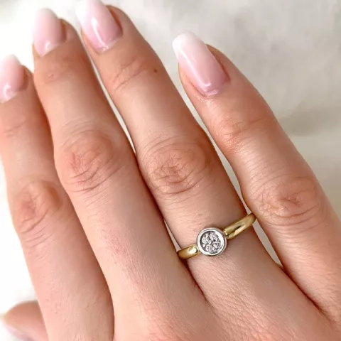 Diamant ring in 9 karaat goud-en witgoud 0,06 ct