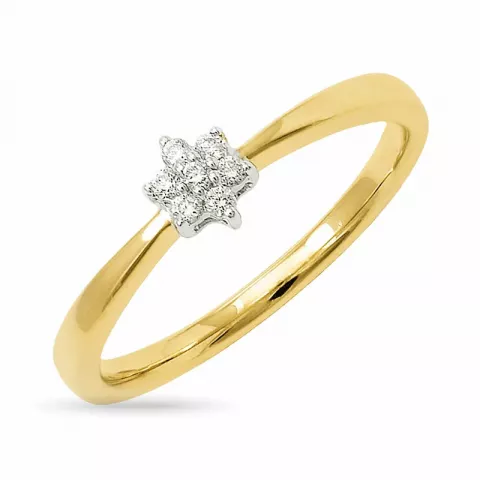 ster diamant ring in 9 karaat goud-en witgoud 0,06 ct
