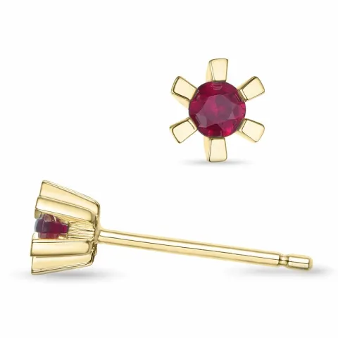 2 x 0,10 ct robijn solitaire oorbel in 9 karaat goud met robijn