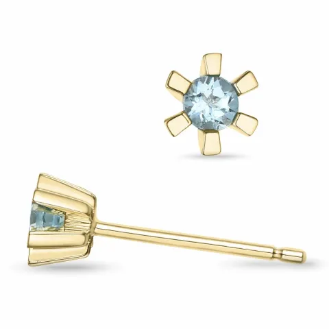 2 x 0,07 ct aquamarijn solitaire oorbel in 9 karaat goud met aquamarijn