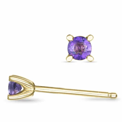 2 x 0,10 ct amethist solitaire oorbel in 9 karaat goud met amethist