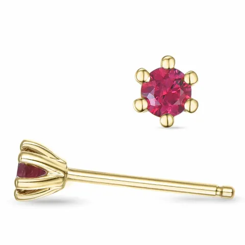 2 x 0,13 ct robijn solitaire oorbel in 9 karaat goud met robijn
