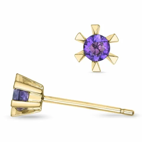 2 x 0,10 ct amethist solitaire oorbel in 9 karaat goud met amethist