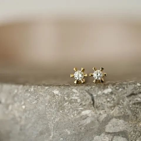 2 x 0,05 ct campagne - diamant solitaire oorbel in 14 karaat goud met diamant 