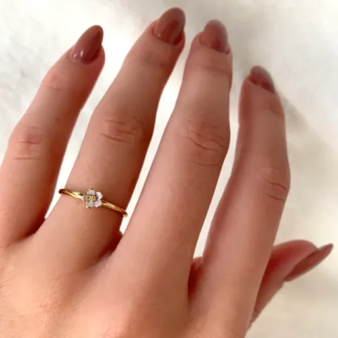 5 mm margriet paarse ring in verguld sterlingzilver - Majse